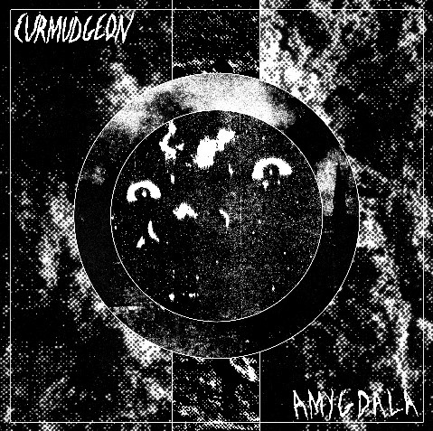 CURMUDGEON - Amygdala